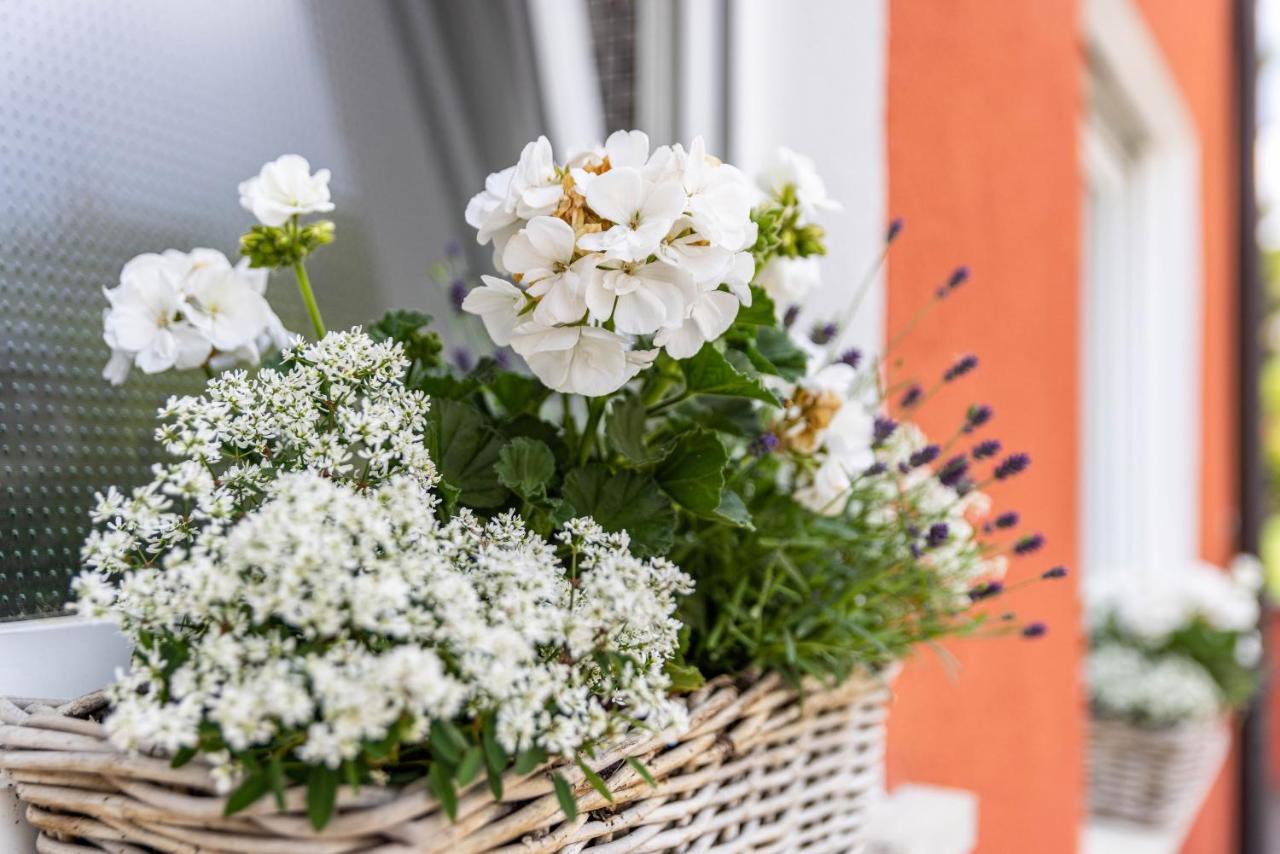 Ferienwohnung Lammerberg Albstadt Exteriör bild